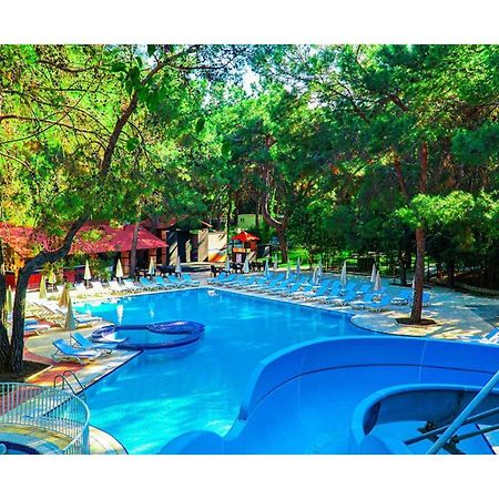 Festival Nature Hotel Kemer Kültér fotó